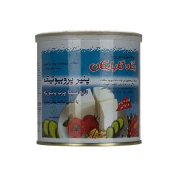 پنیر پروبوتیک تازه نسبتا چرب قوطی پگاه گلپایگان 400 گرم 