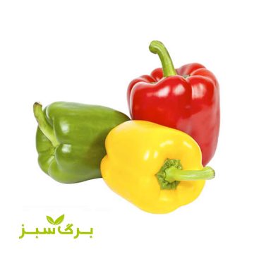 فلفل دلمه رنگی برگ سبز وزن 500 گرم