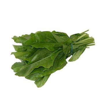 سورل برگ سبز 1 بسته