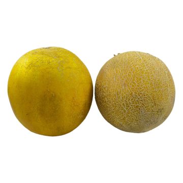 خربزه احمدی برگ سبز (وزن انتخاب کنید)