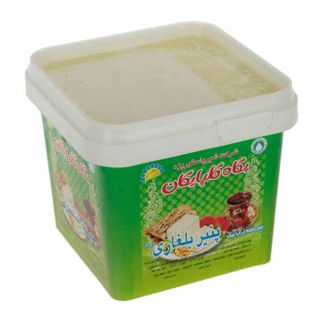 پنیر چرب رسیده در آب نمک بلغاری پگاه 400 گرم