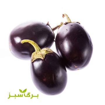 بادمجان دلمه برگ سبز (وزن انتخاب کنید)