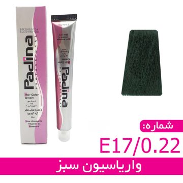 واریاسیون رنگ سبز کد E17-0-22 پادینا حجم 15 میلی لیتر