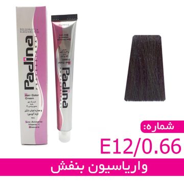 واریاسیون رنگ بنفش کد E12-0-66 پادینا حجم 15 میلی لیتر