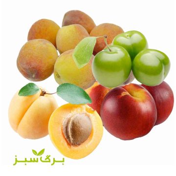 مخلوط، هلو، شلیل، زردآلو، آلوچه سبز برگ سبز وزن 500 گرم