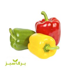 فلفل دلمه رنگی برگ سبز (وزن انتخاب کنید)