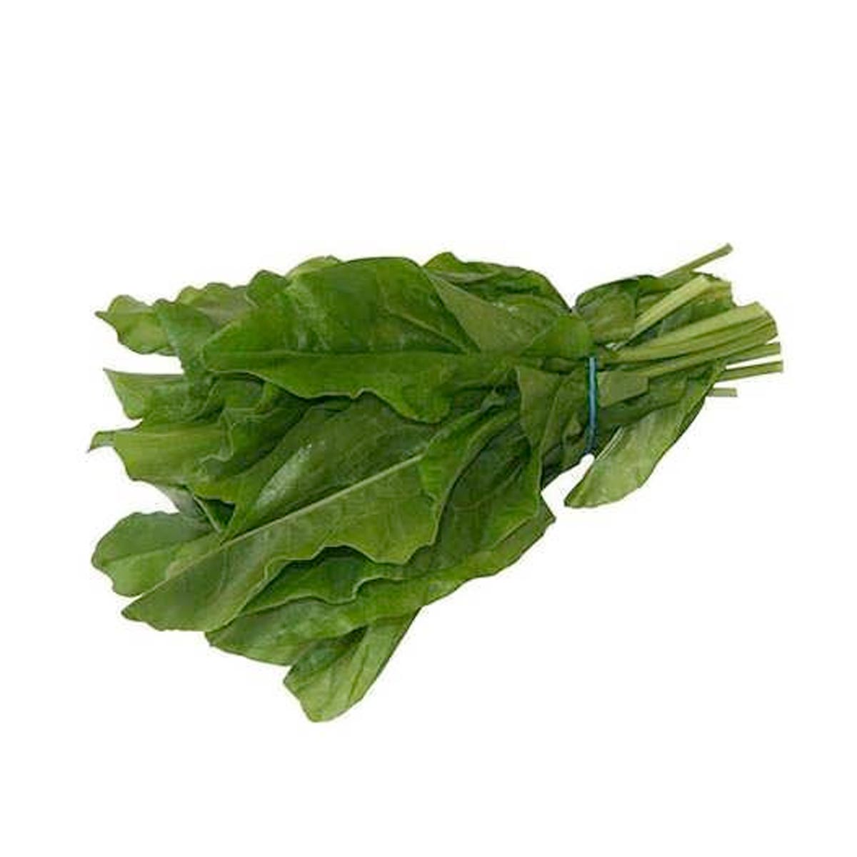 سورل برگ سبز 1 بسته