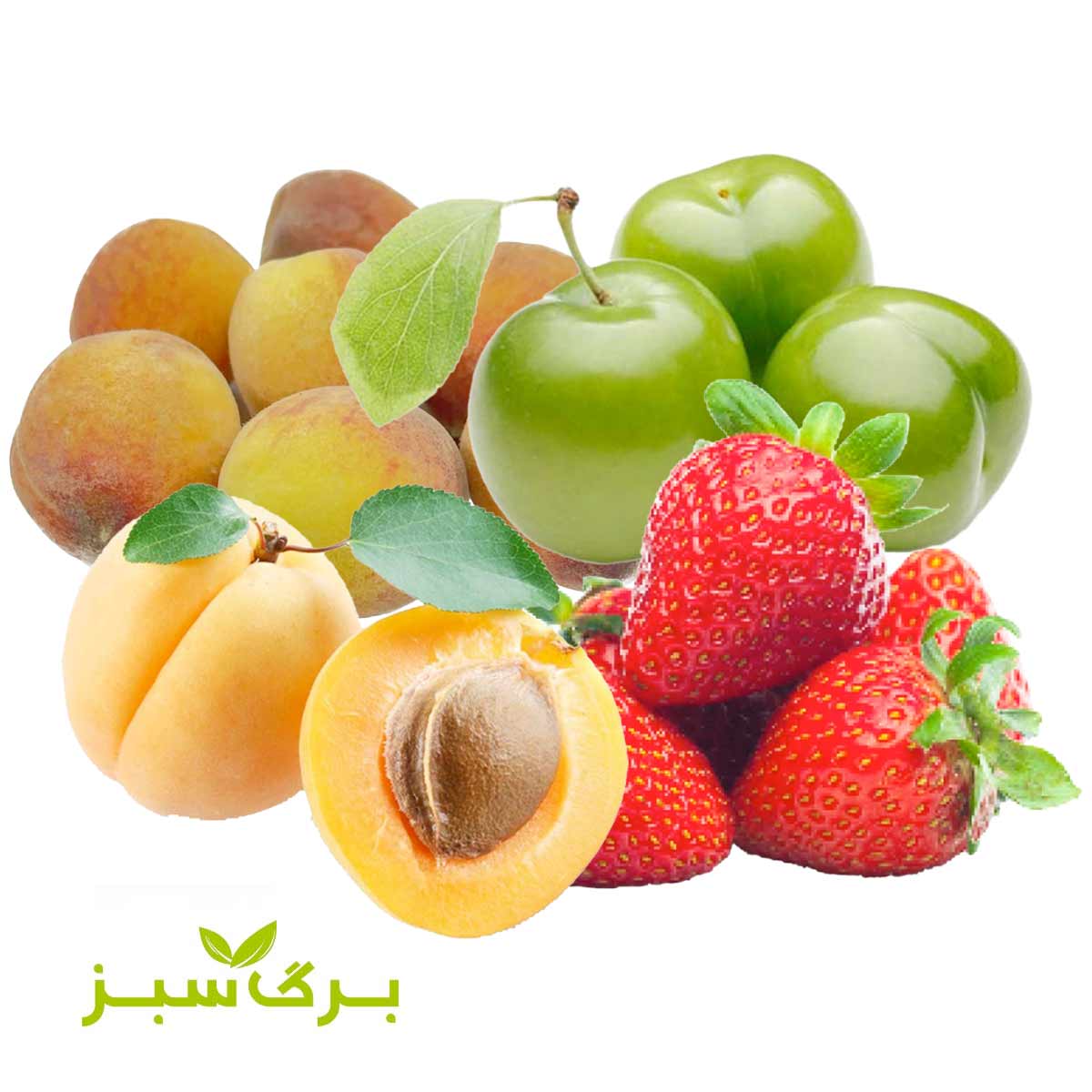 مخلوط آلوچه سبز، زردآلو، هلو و توت فرنگی برگ سبز وزن 400 گرم