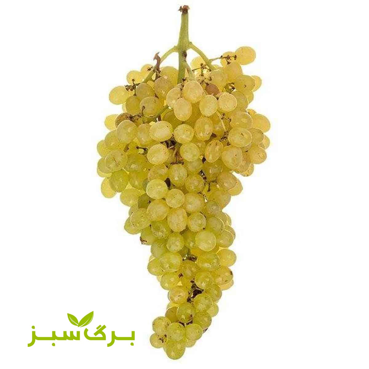 انگور یاقوتی زرد ارومیه برگ سبز وزن 500 گرم