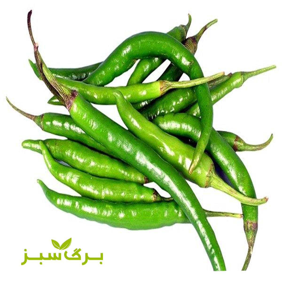 فلفل نخی برگ سبز وزن 250 گرم