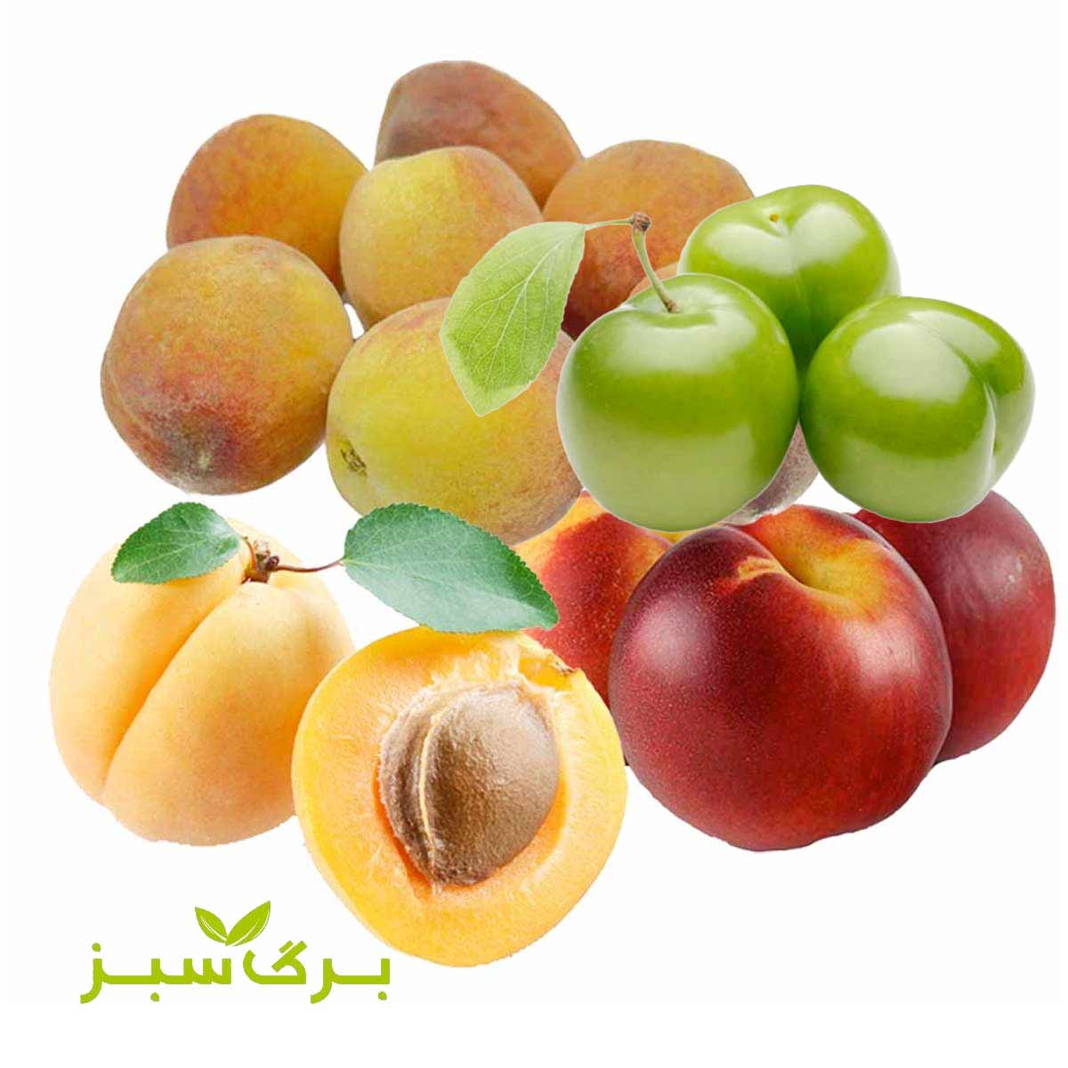 مخلوط، هلو، شلیل، زردآلو، آلوچه سبز برگ سبز وزن 500 گرم