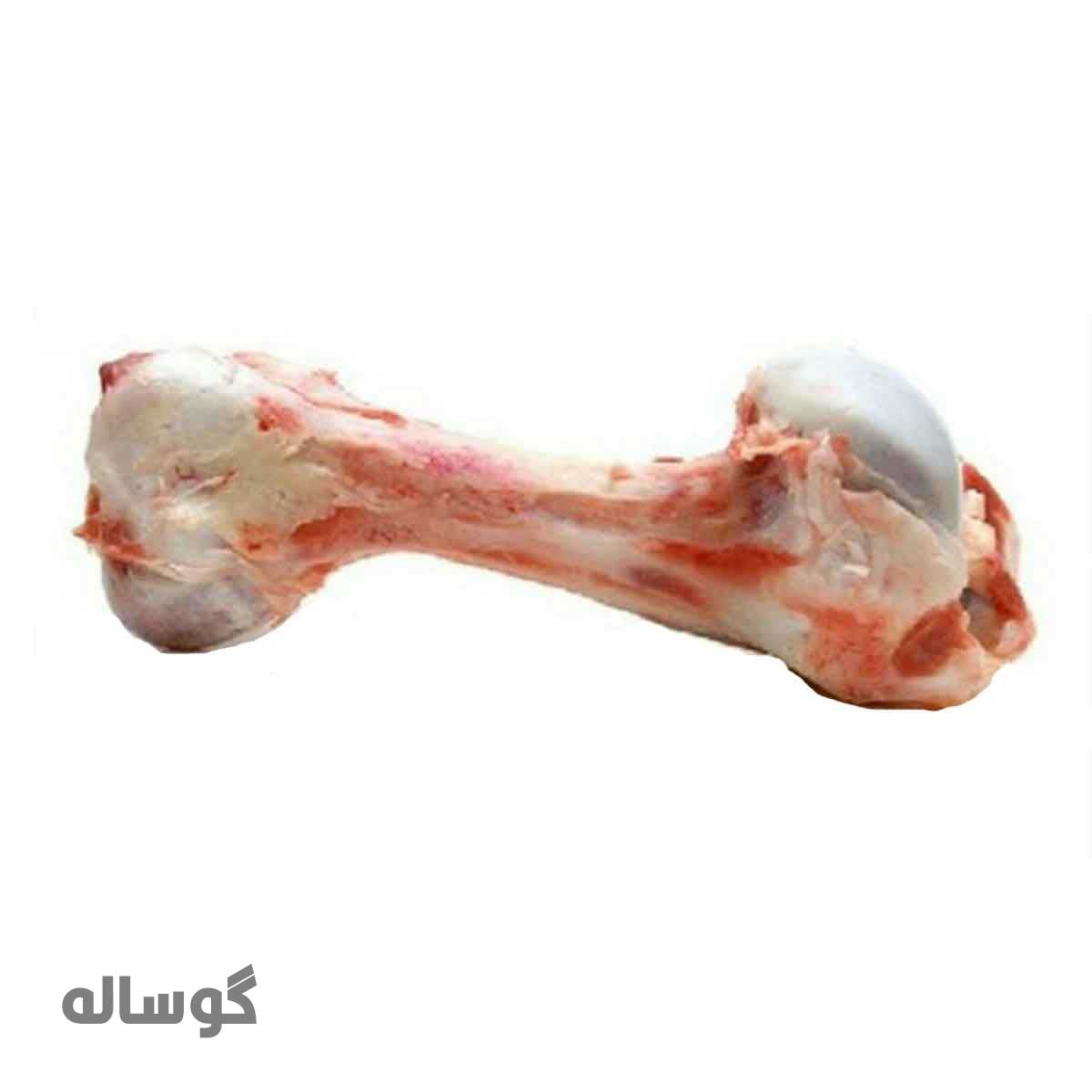 قلم گوساله 1 عدد 