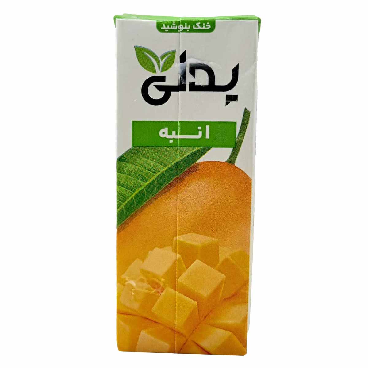 آبمیوه با طعم انبه پدلی 200 سی سی